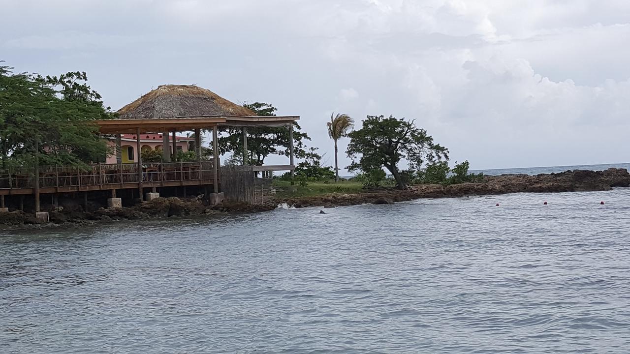 Ultimate Freedom Bed And Breakfast Santa Cruz Luaran gambar
